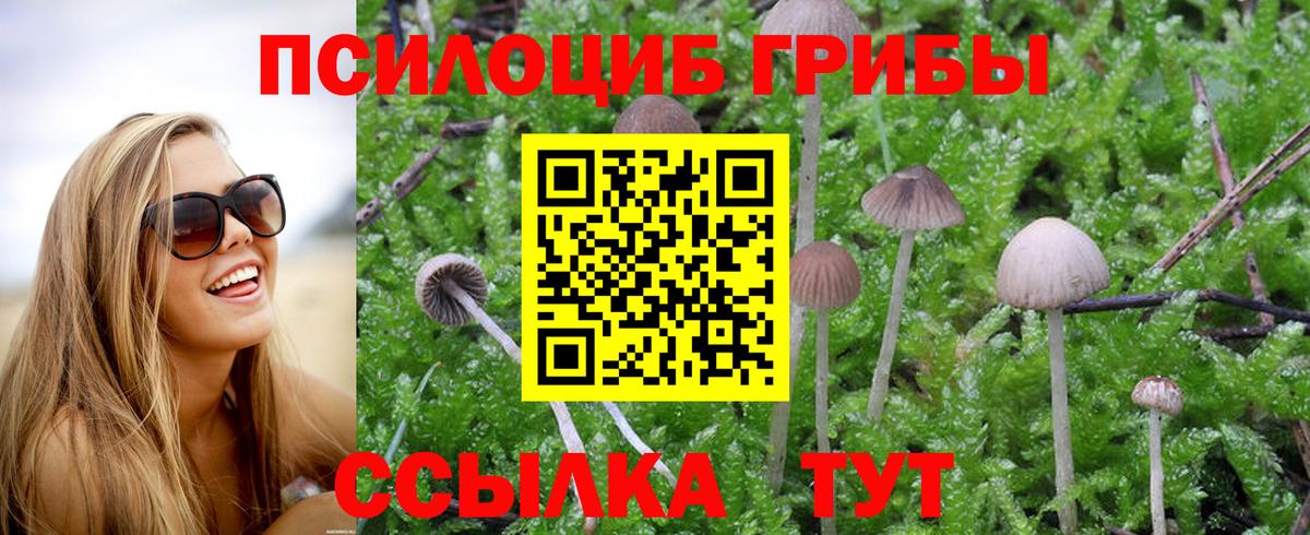 Верхняя Салда  где купить наркотик  Вход с VPN  Псилоцибиновые грибы MAGIC MUSHROOMS 